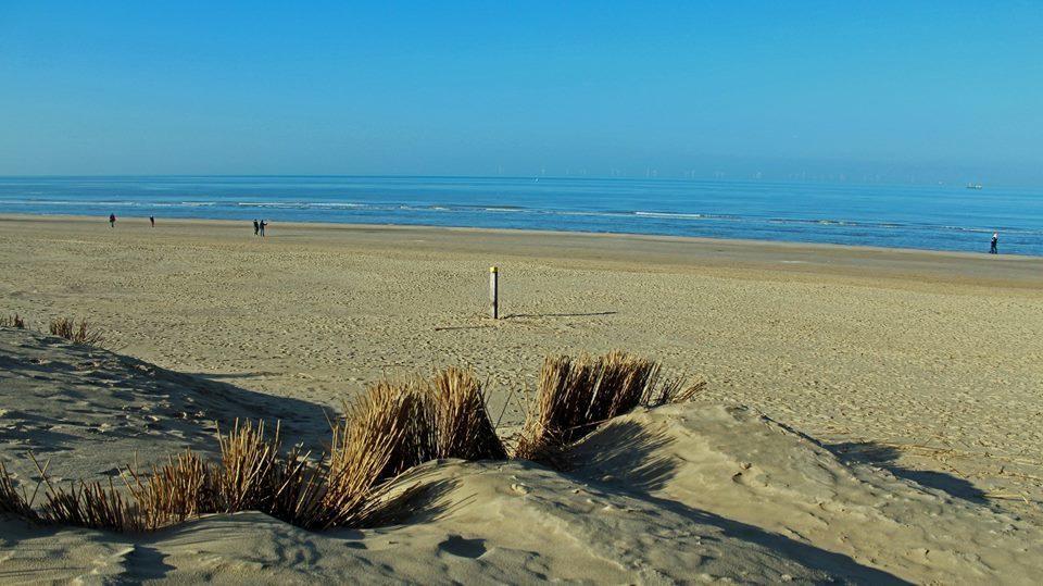 De Blaauboer, Vakantiehuisje Egmond aan Zee Exterior photo