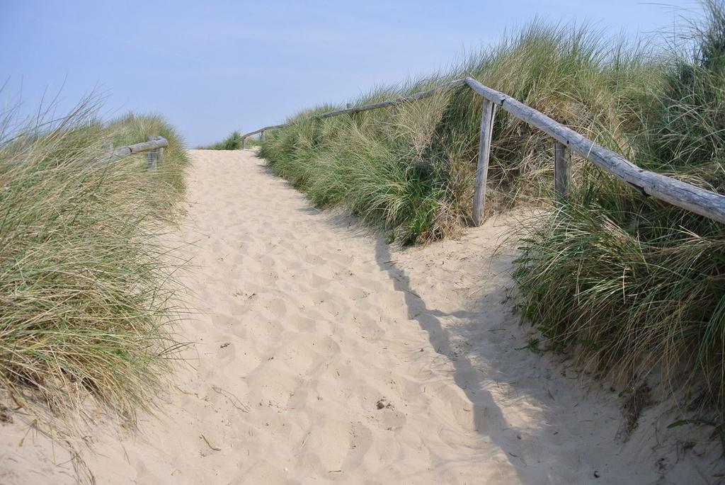 De Blaauboer, Vakantiehuisje Egmond aan Zee Room photo