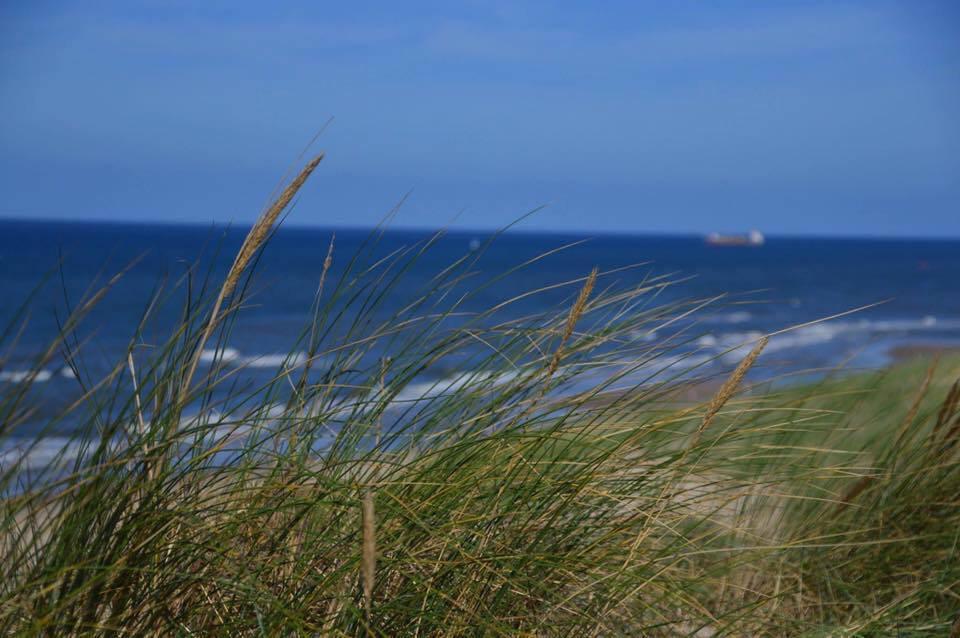 De Blaauboer, Vakantiehuisje Egmond aan Zee Exterior photo
